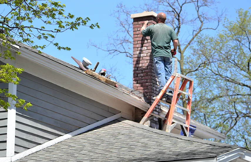 Chimney & Fireplace Inspections Services in Don Mills, ON